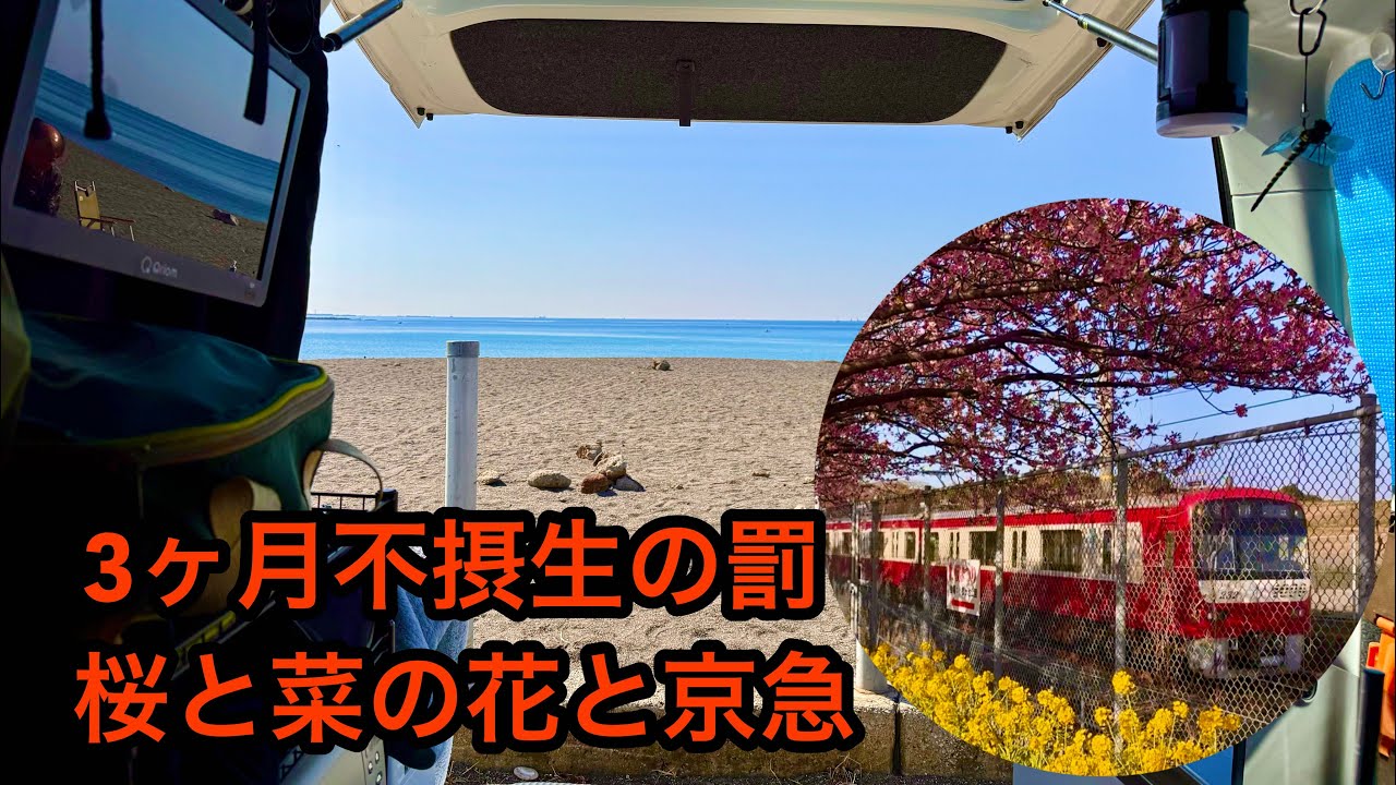 3ヶ月不摂生の罰？桜と菜の花と京急を見に車中泊旅！