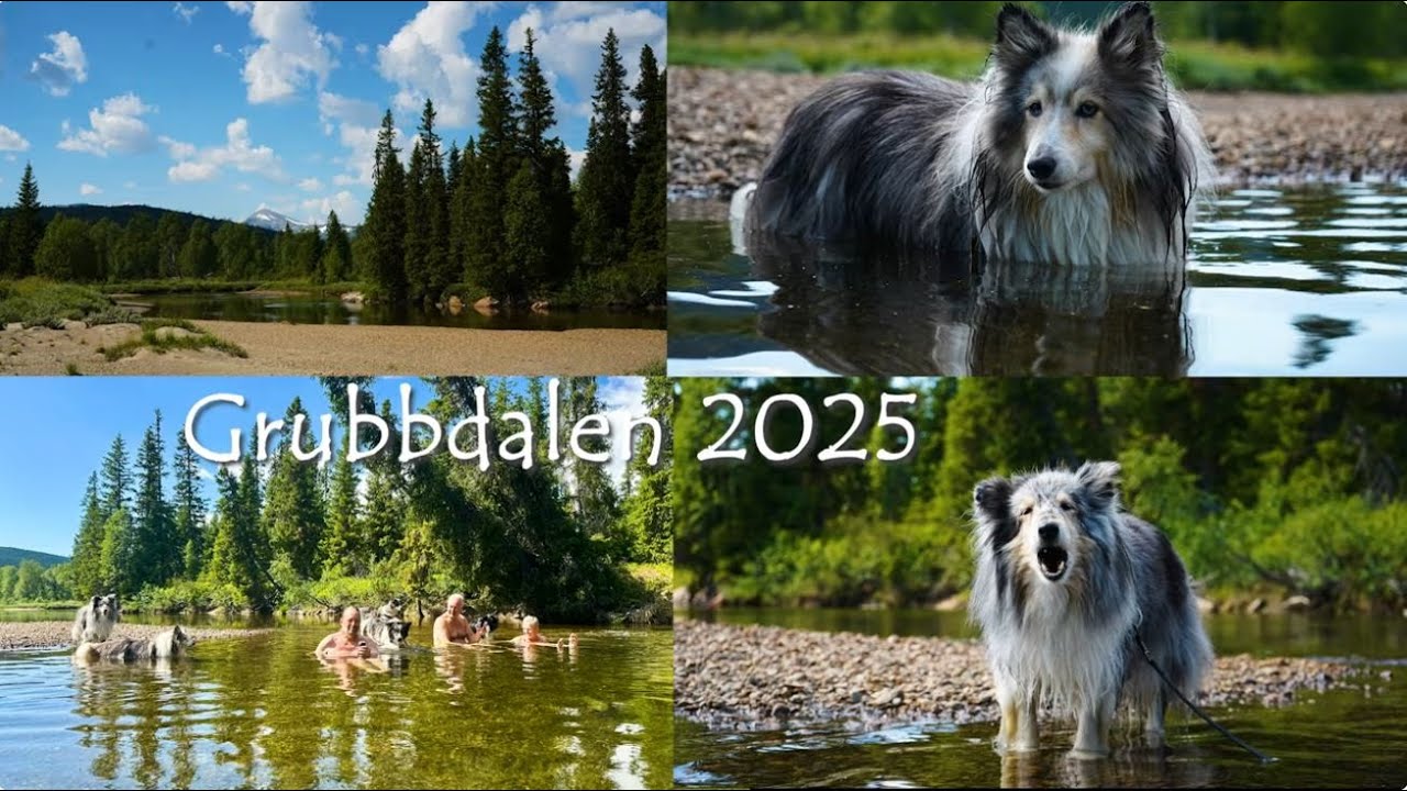 Grubbdalen 2025