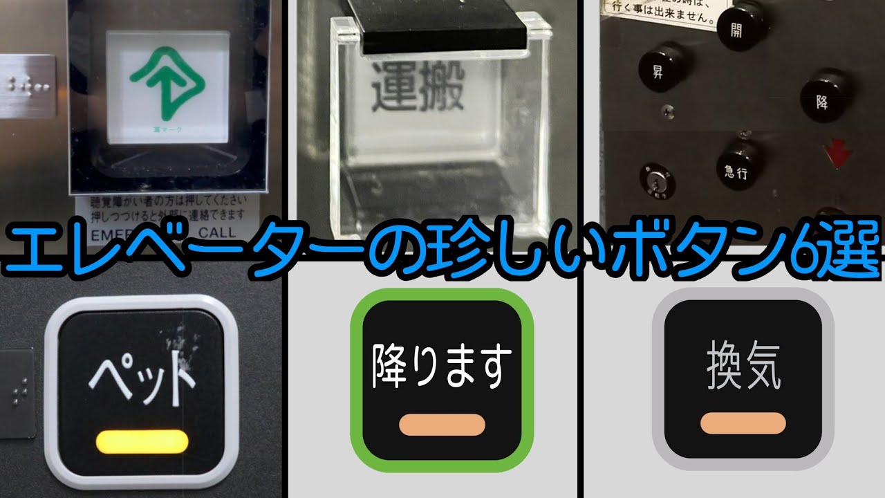 【意外と少ない!?】ずんだもんと学ぶエレベーターの珍しいボタン6選