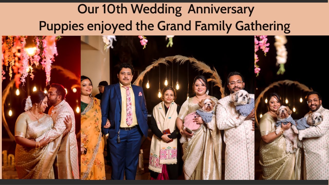 10th Anniversary celebration | Our puppies are part of every celebration | Grand family gathering