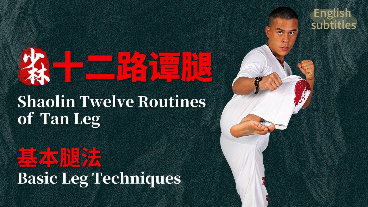 少林十二路谭腿：基本腿法Shaolin Twelve Routines of Tan Leg：Basic Leg Techniques#kungfu #shaolinmonk #wingchun