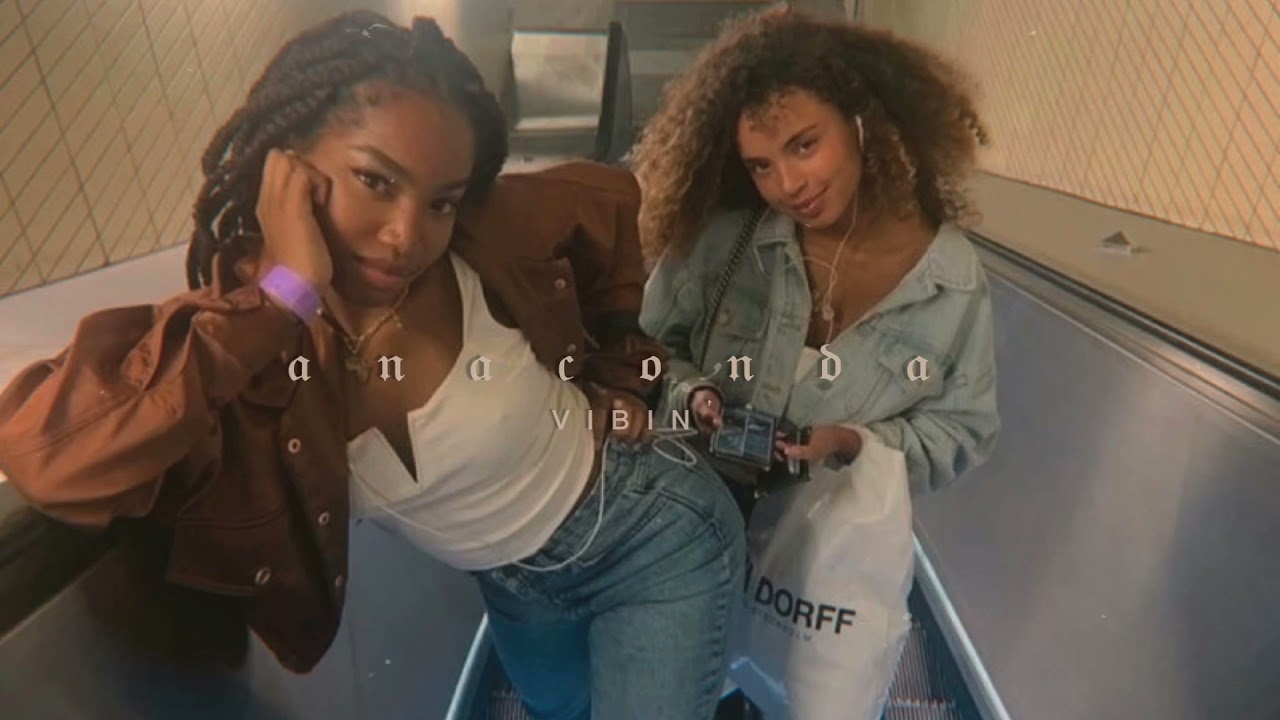 anaconda~ nicki minaj (s l o w e d)