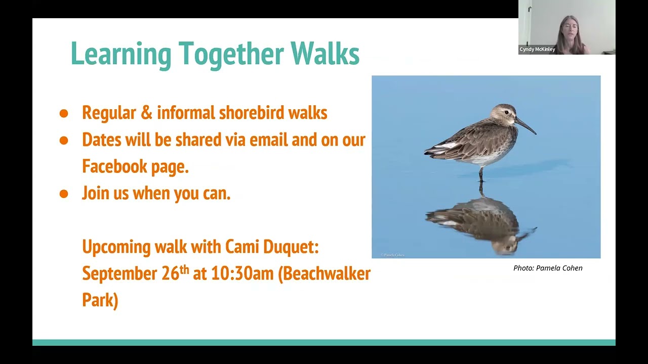 Kiawah Shorebirds Kick-Off Meeting Recording