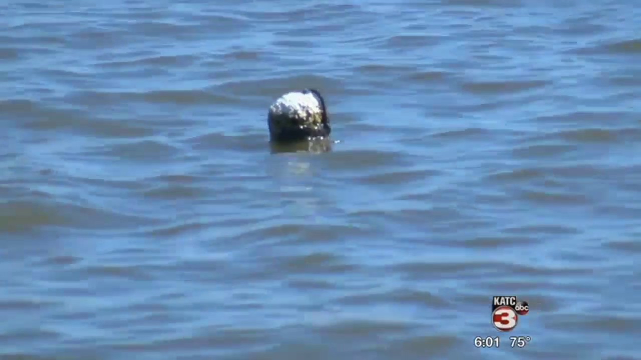 Iberia Parish Council looks at solutions for regional flooding
