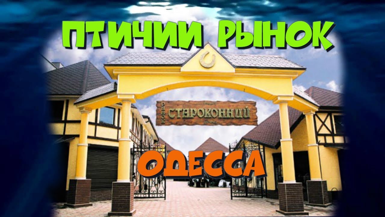 Птичий рынок Одесса. Обзор по рыбкам.
