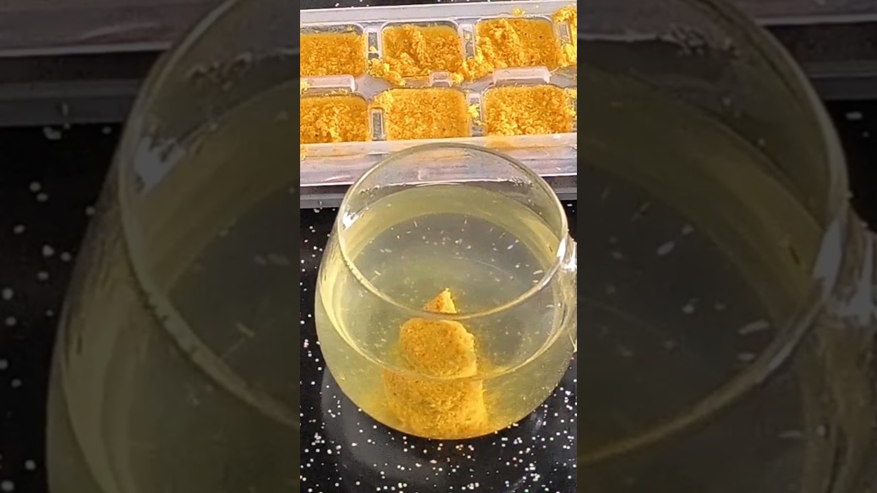 🍋 Zencefilli Vitamin Küpleriyle Kışa Hazırlık! 💛 