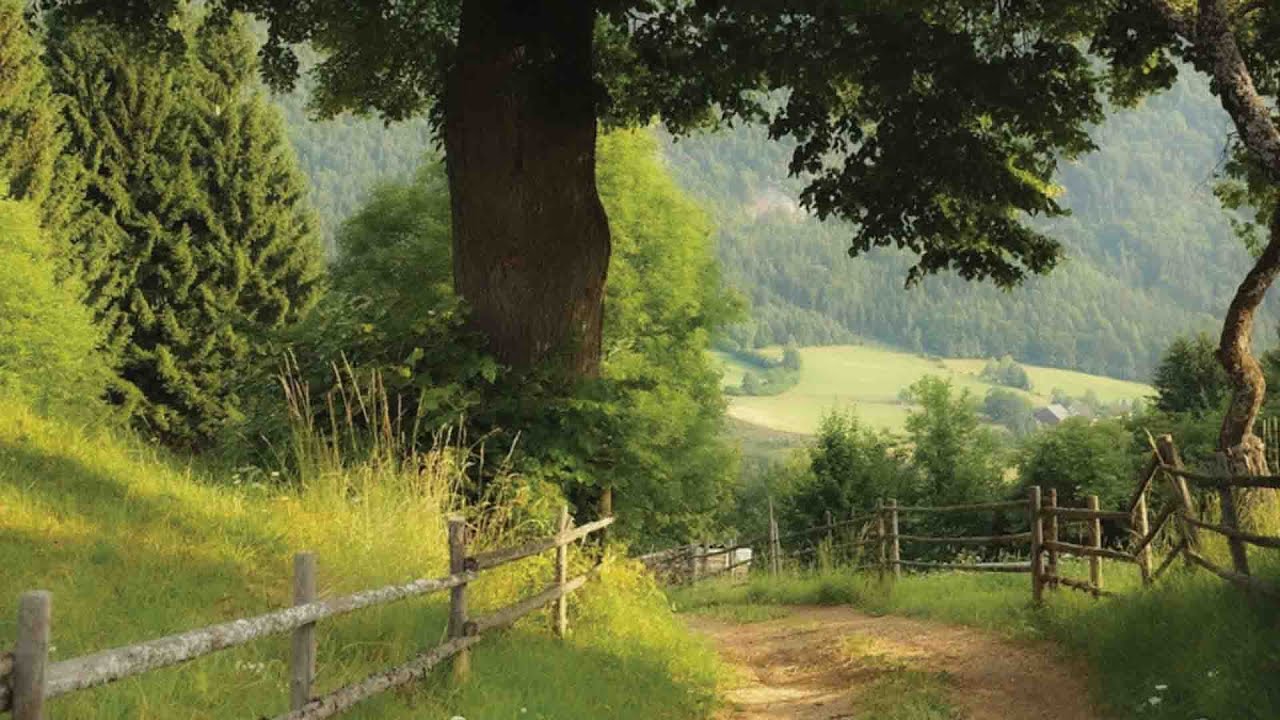a quiet playlist for a quiet life  (reading, writing & studying)