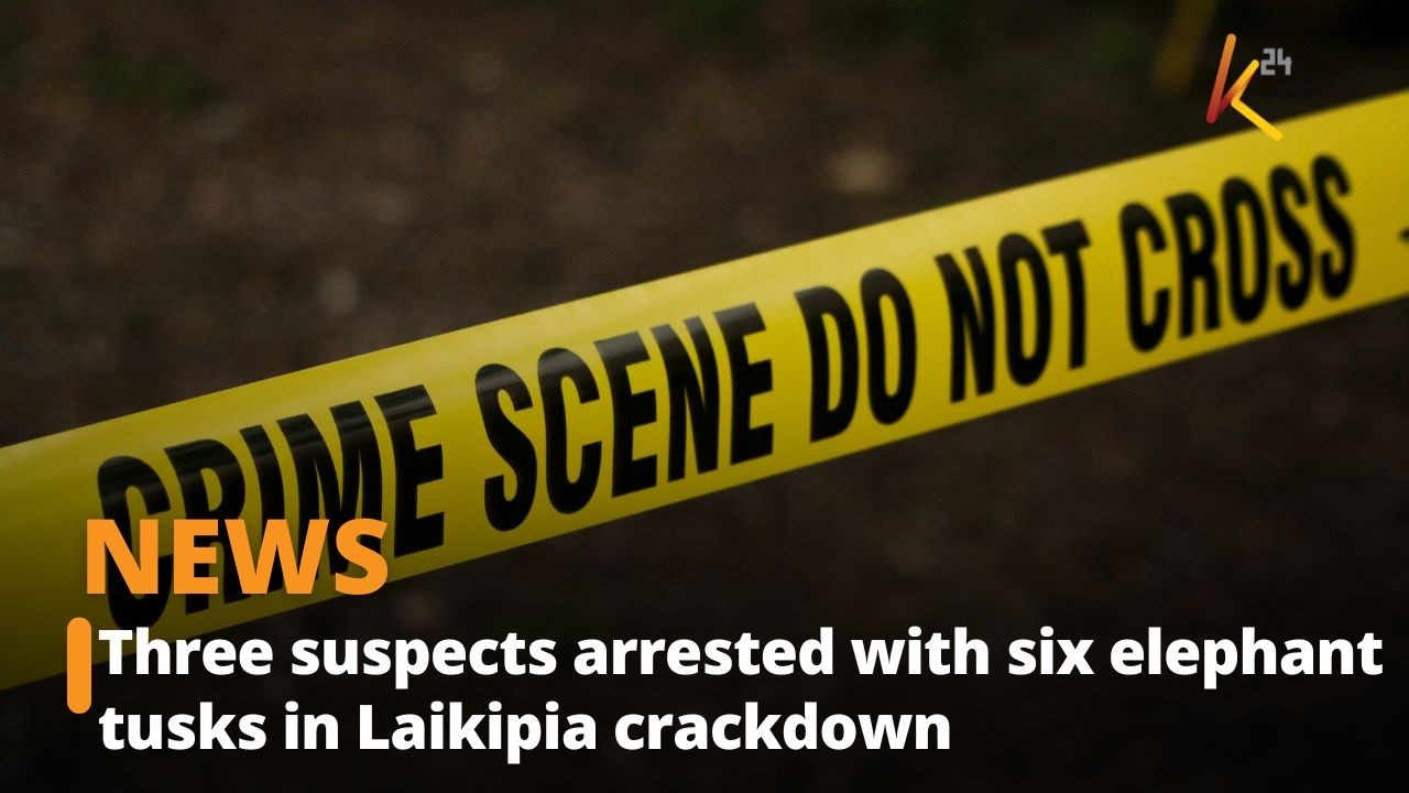 Three suspects arrested with six elephant tusks in Laikipia crackdown