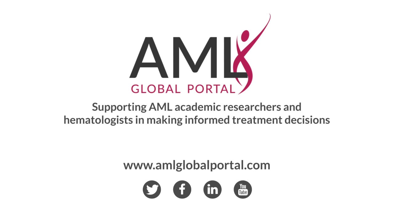AML Global Portal - Coming Soon 2017