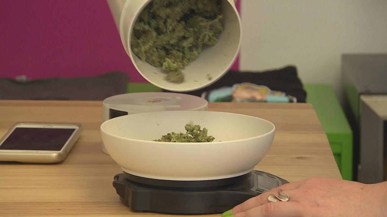 Pot dispensary licences