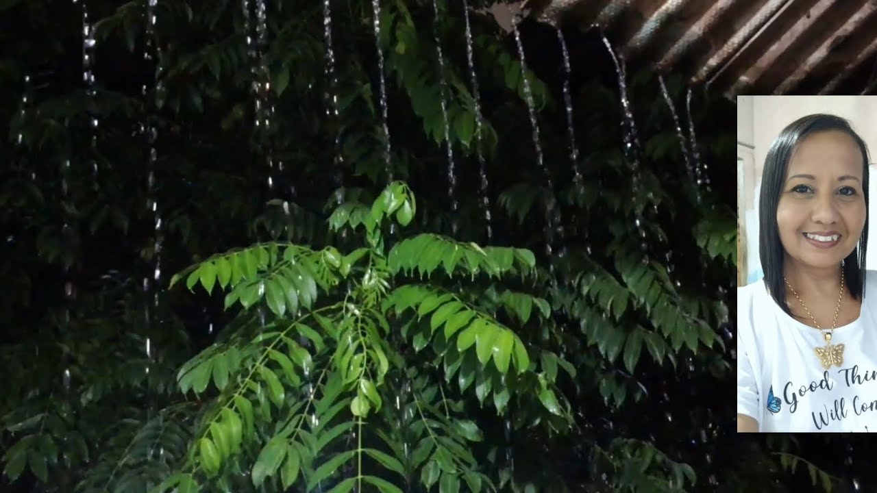 Barulho de Chuva para Dormir e Relaxar - Som de Chuva no Telhado e Trovoadas à Noite #02 ASMR Relax