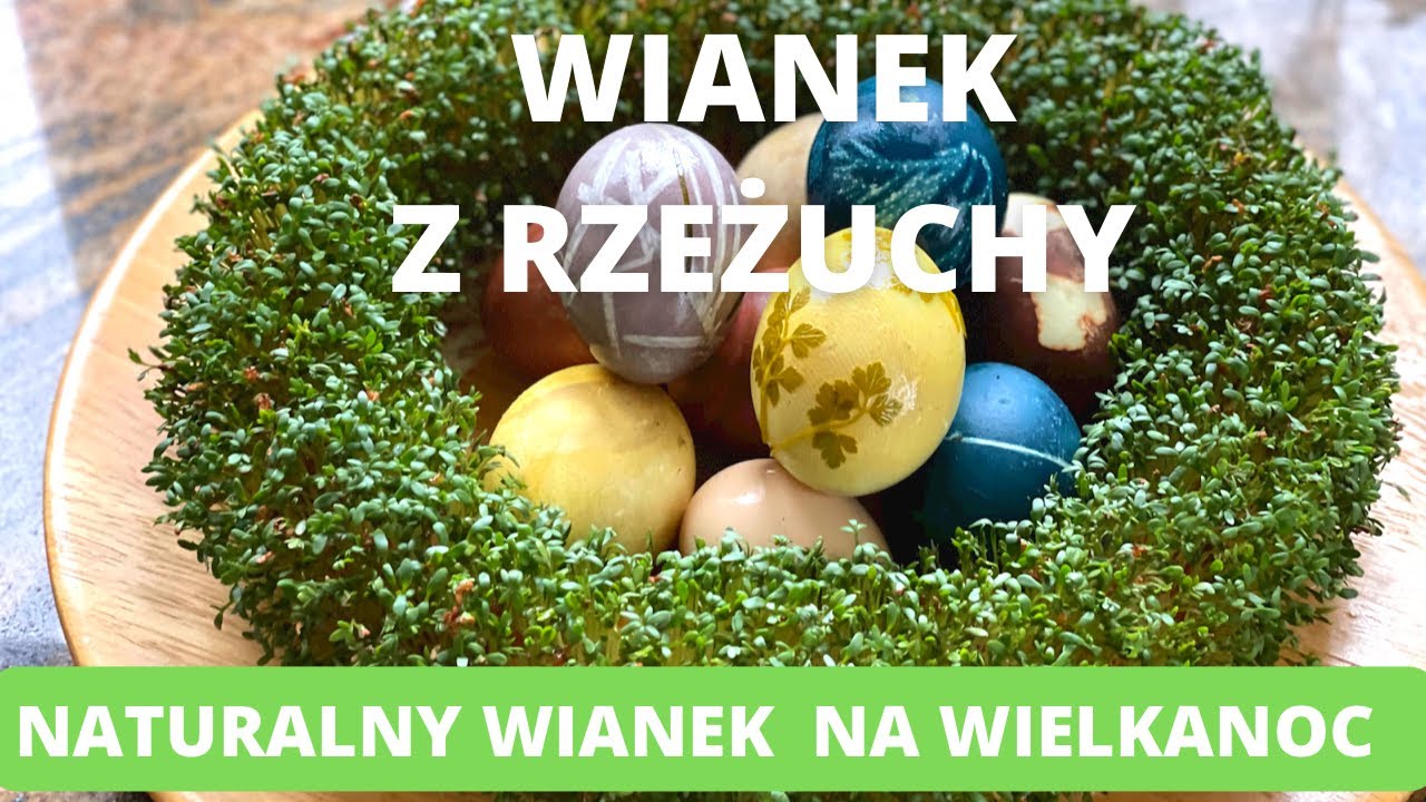 Wianek z rzeżuchy na święta wielkanocne. Użyj naturalnych produktów. DIY #wianek #rzeżucha