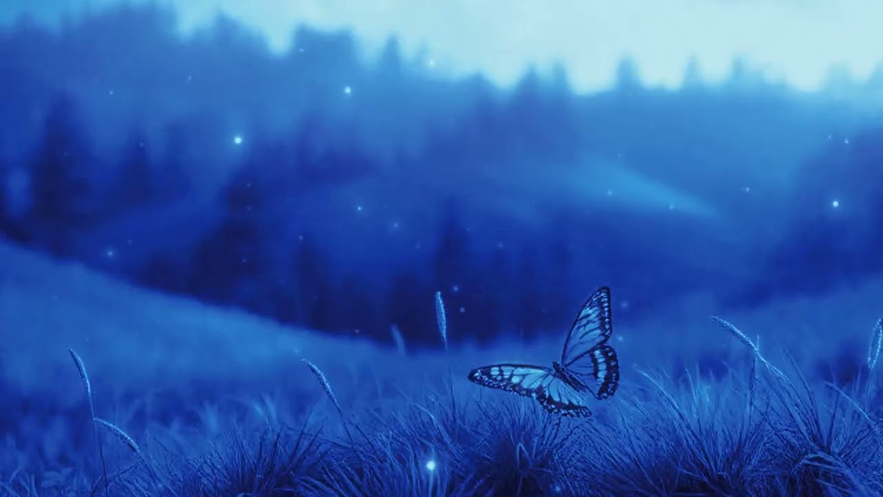 Faithsdead x Killmyfaith - Butterfly Effect