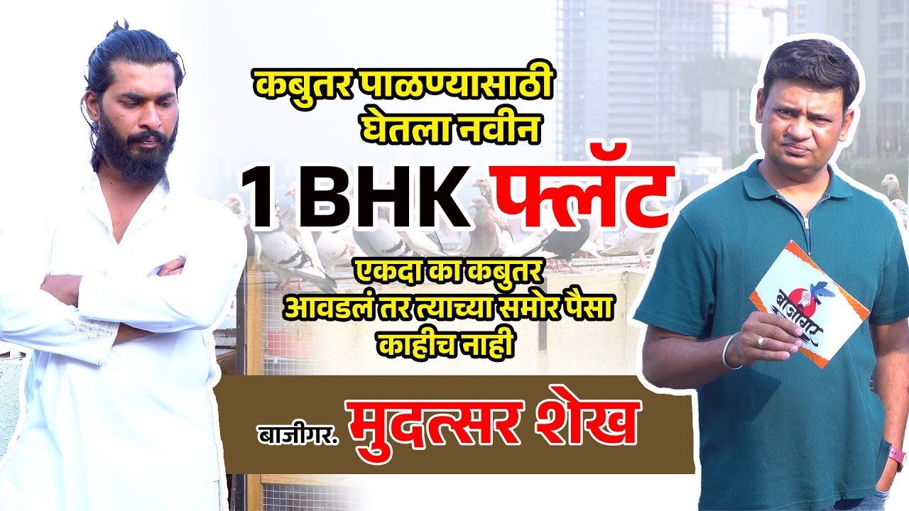 Pure Homer Pigeon | Checker Pigeon | मुदत्सर शेख | हर्षद शिंदे। बाजीगर एपिसोड- 4 #homerpigeons #loft