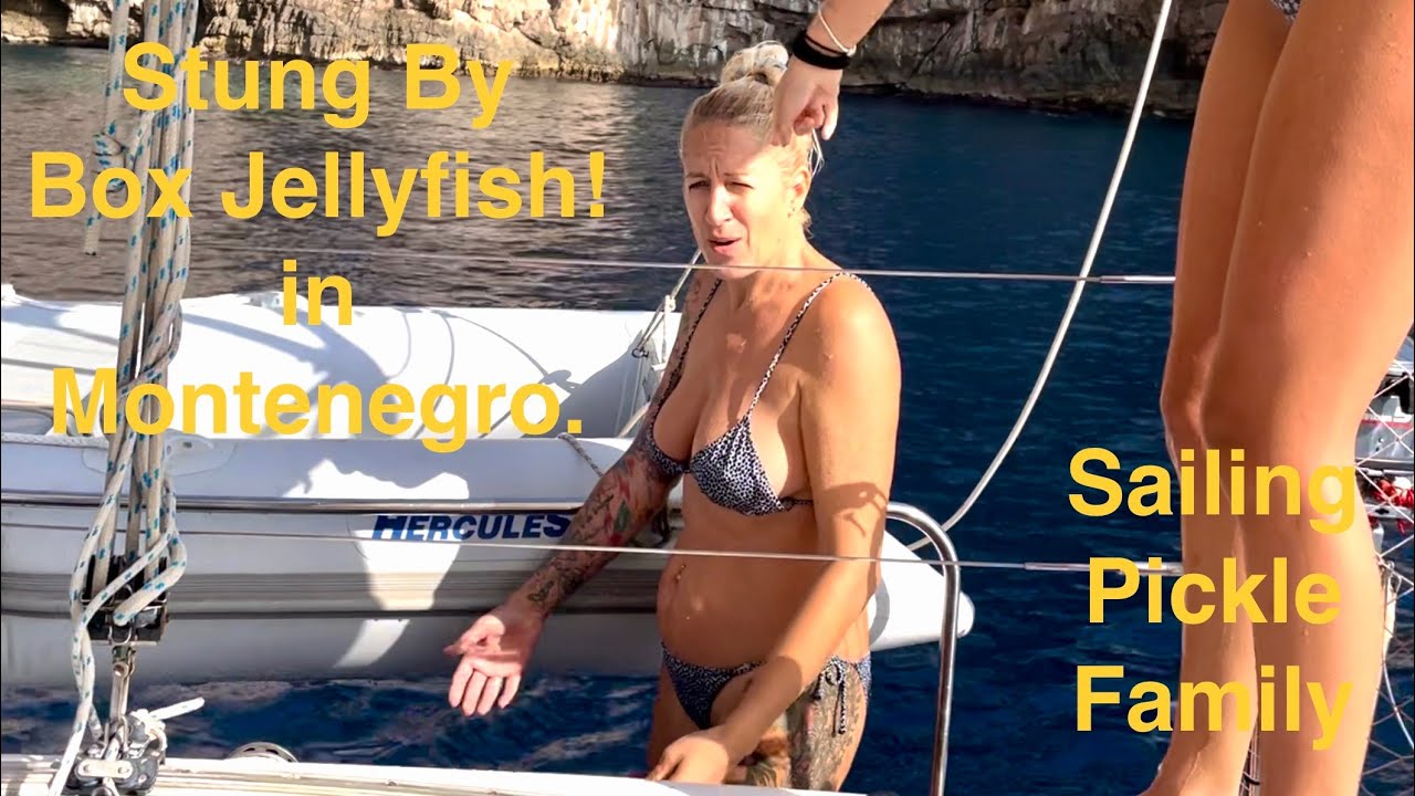 Episode 153 - Stung by a Box Jellyfish while Sailing! Heaved to, Swimming in Caves!