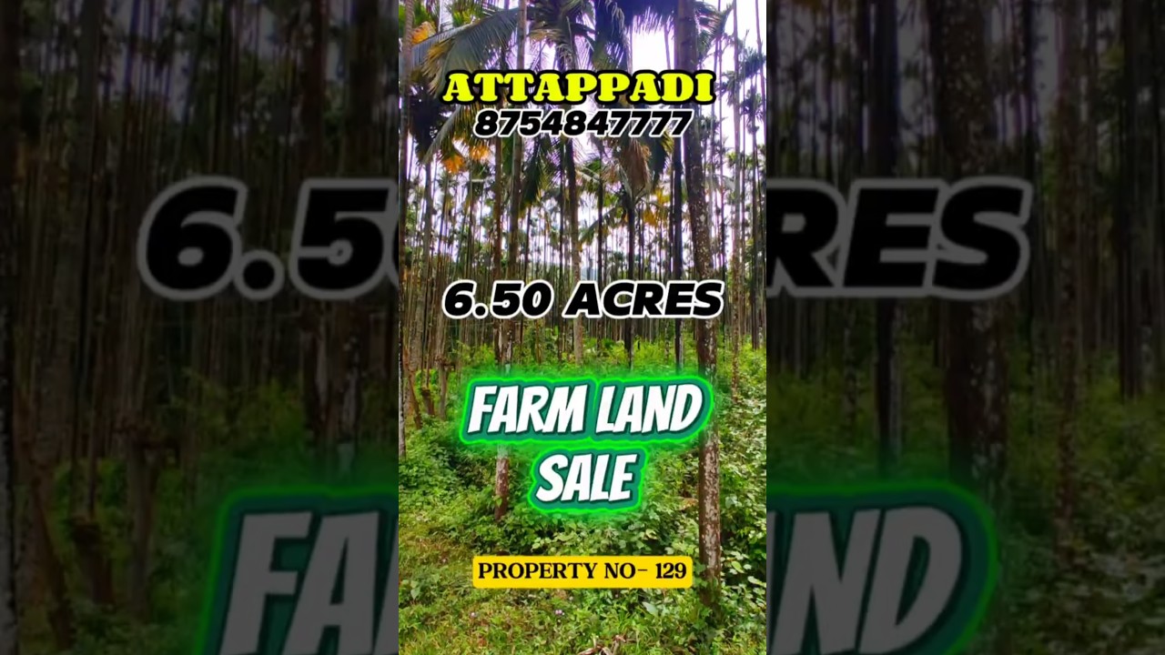 ATTAPADI LAND SALE 6.50 ACRES|ATTAPADI FARM LAND SALE#attapadi #attappadi #anaikatti #thavalam