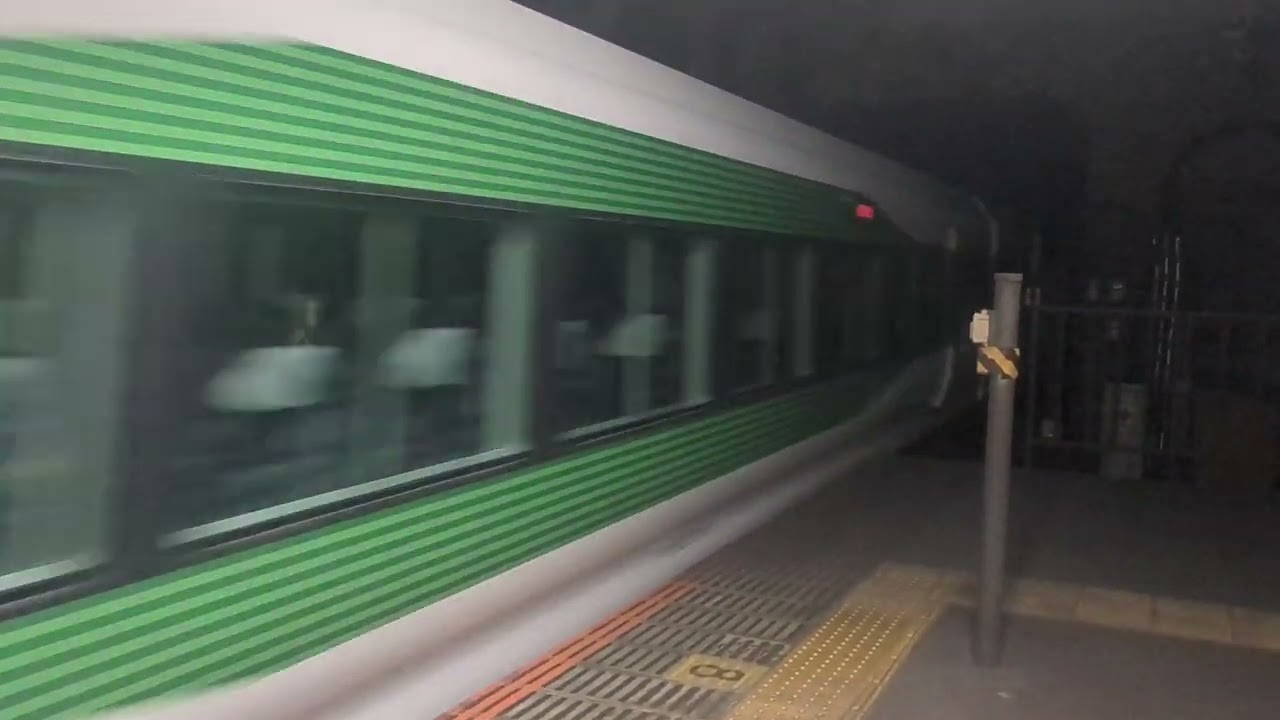 E257系5000番台臨時あずさ84号返却回送　新小平通過