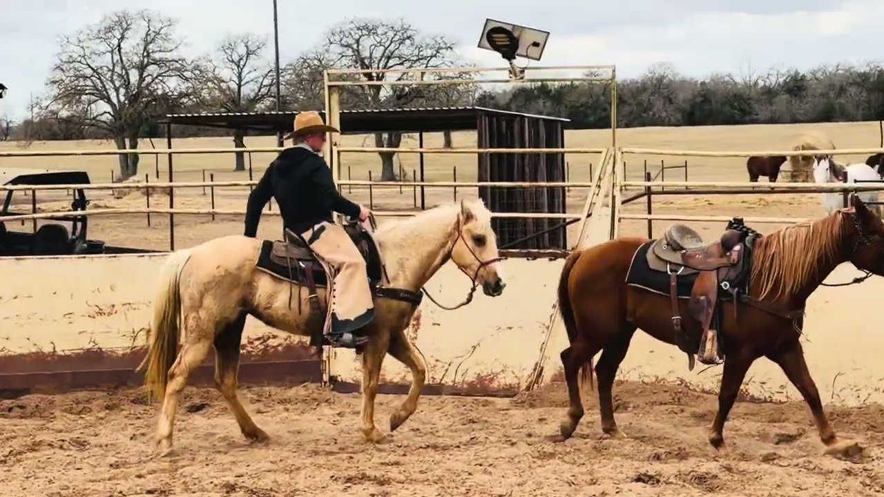 First ride on Lisa Nicholas’ Eddie Stinson x Stoli my Guy filly
