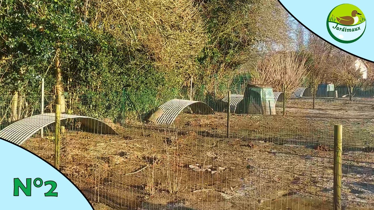 LA REPRO 2024 | ÉPISODE 2 | LES NOUVEAUX ABRIS DES OIES !