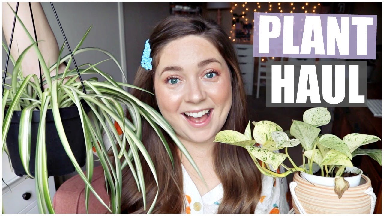 ANOTHER PLANT HAUL! 🌱🌿🌸