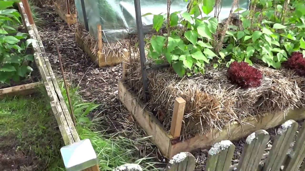 Pflanzen auf Strohballen Teil 04/3 - 18.06.2016 (mit Ton)