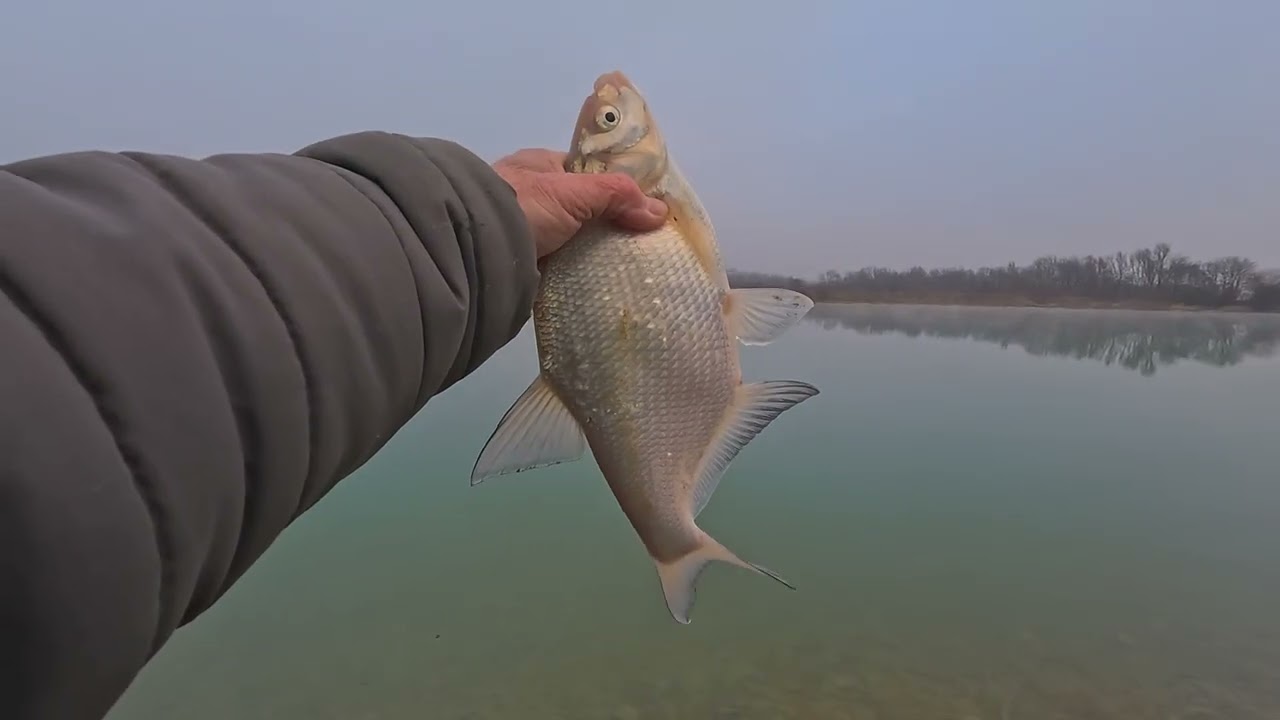 Angeln im Dezember am Baggersee - Was geht bei den kalten Wassertemperaturen?