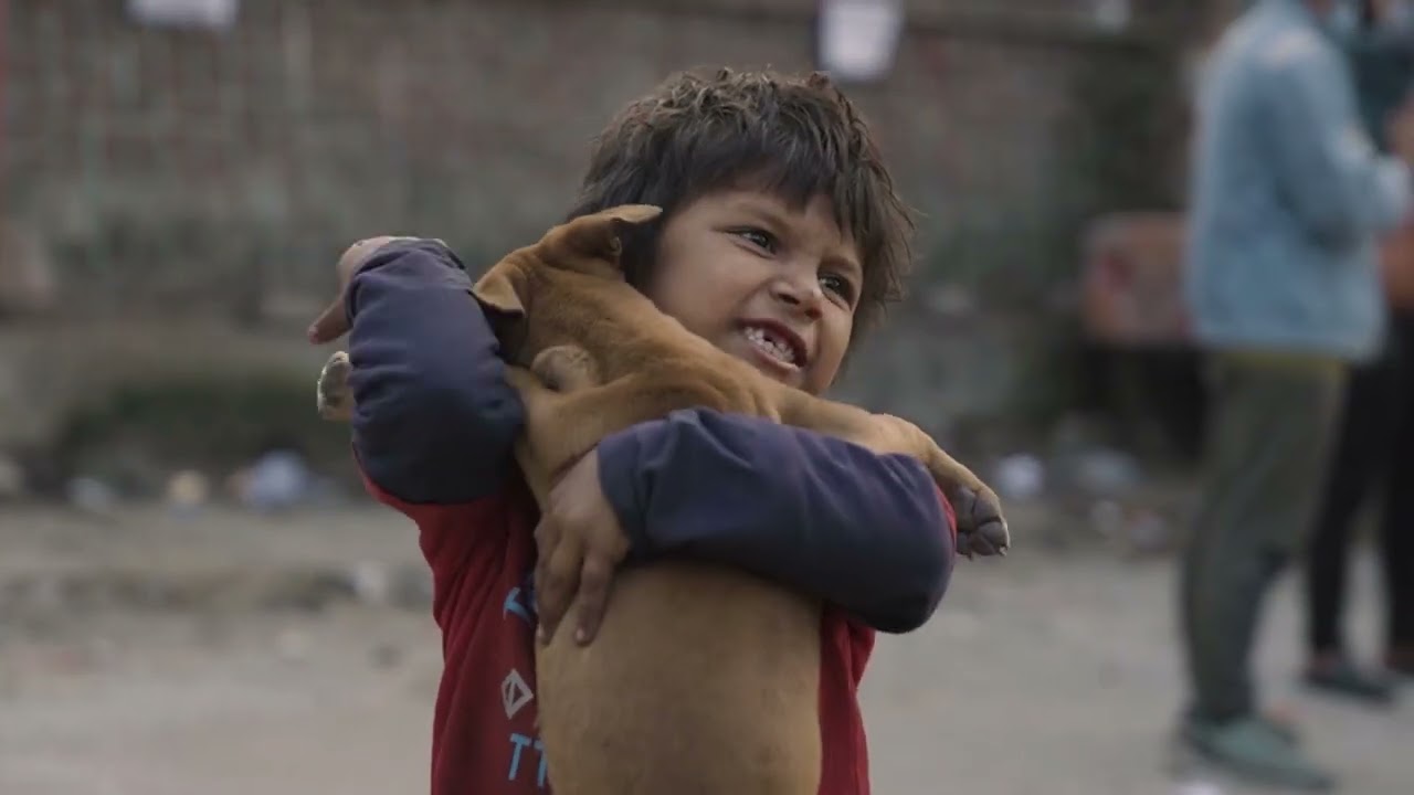 A Glimpse into the Lives of Bangladesh's Street Children | Muslim Charity UK | Mahmud's Creato
