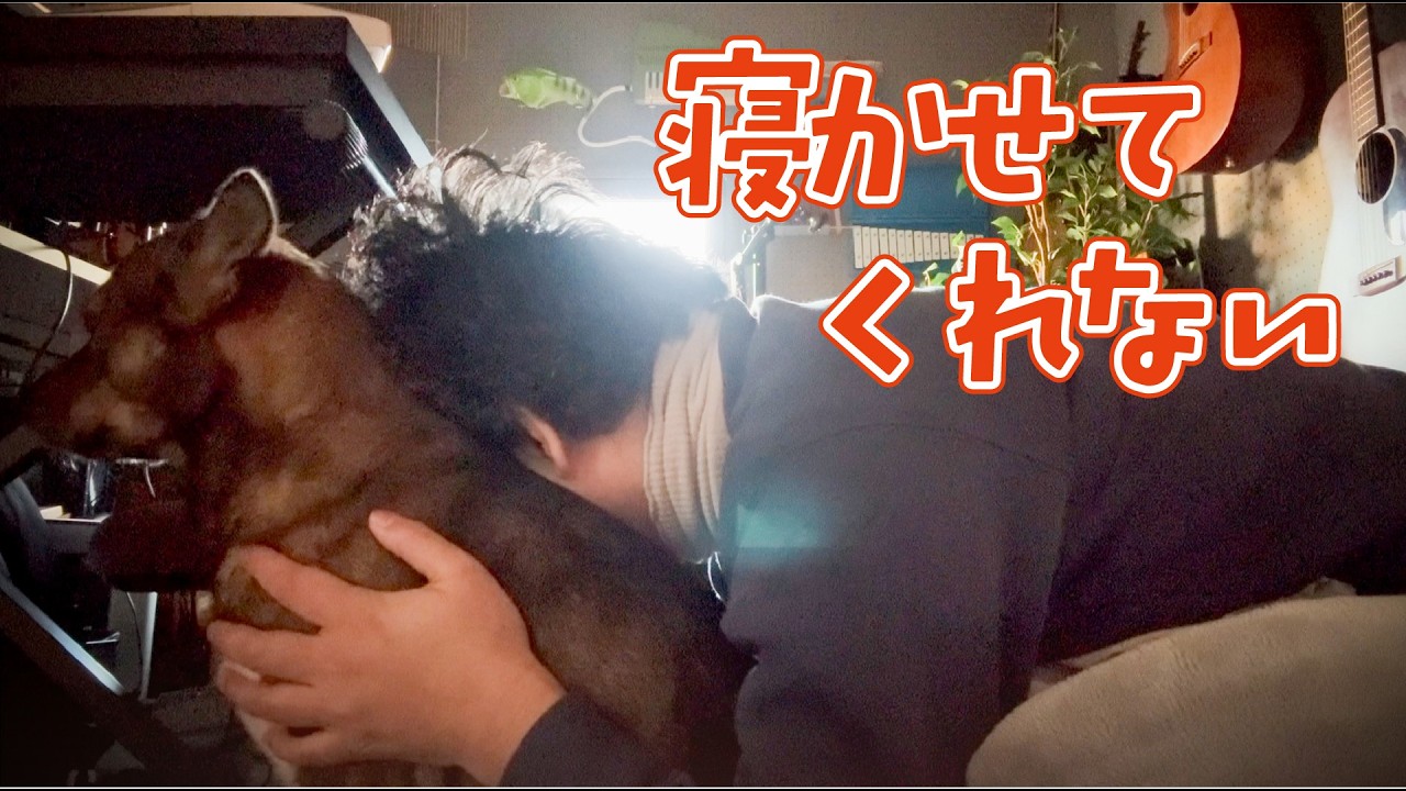 夜中にチャーリーが用事があると起こしてきました