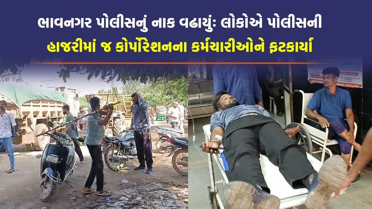 ઢોર માલિકોએ Bhavnagar Police ની હાજરીમાં BMC ના અધિકારીઓ પર કર્યો હુમલો, 10 દિવસમાં બીજી ઘટના