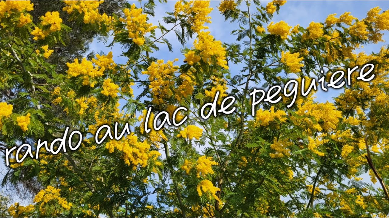 Rando au lac de Peguiére 