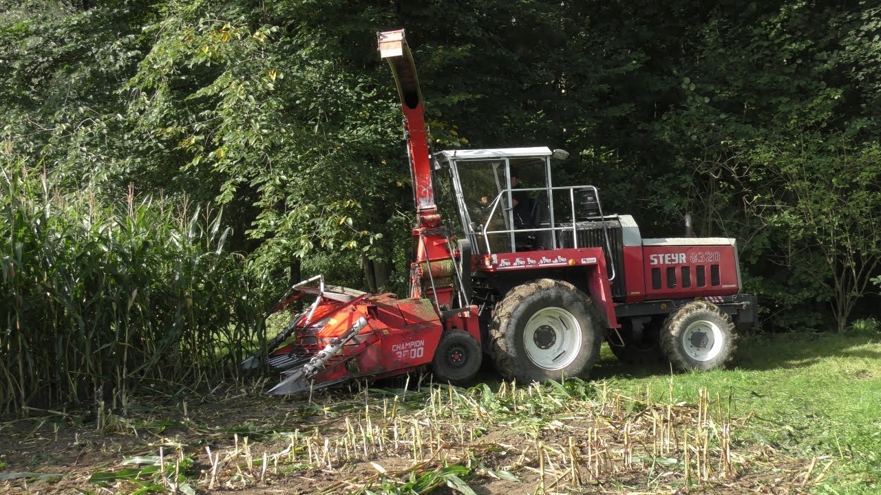 Futtermais Ernte 2023 | Steyr 8320 | Kemper 3000 | Steyr 8080