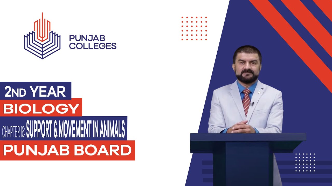 PGC Lectures-Inter Part II-Punjab Board-Biology-Chapter 16 - Support & Movement in Animals