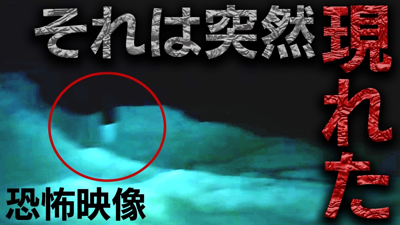 【閲覧注意】完全に映り込んだ映像