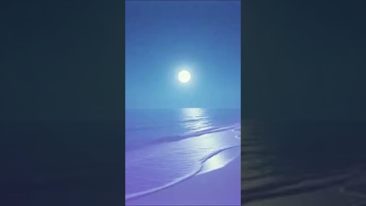 Quiet the Ears 1
