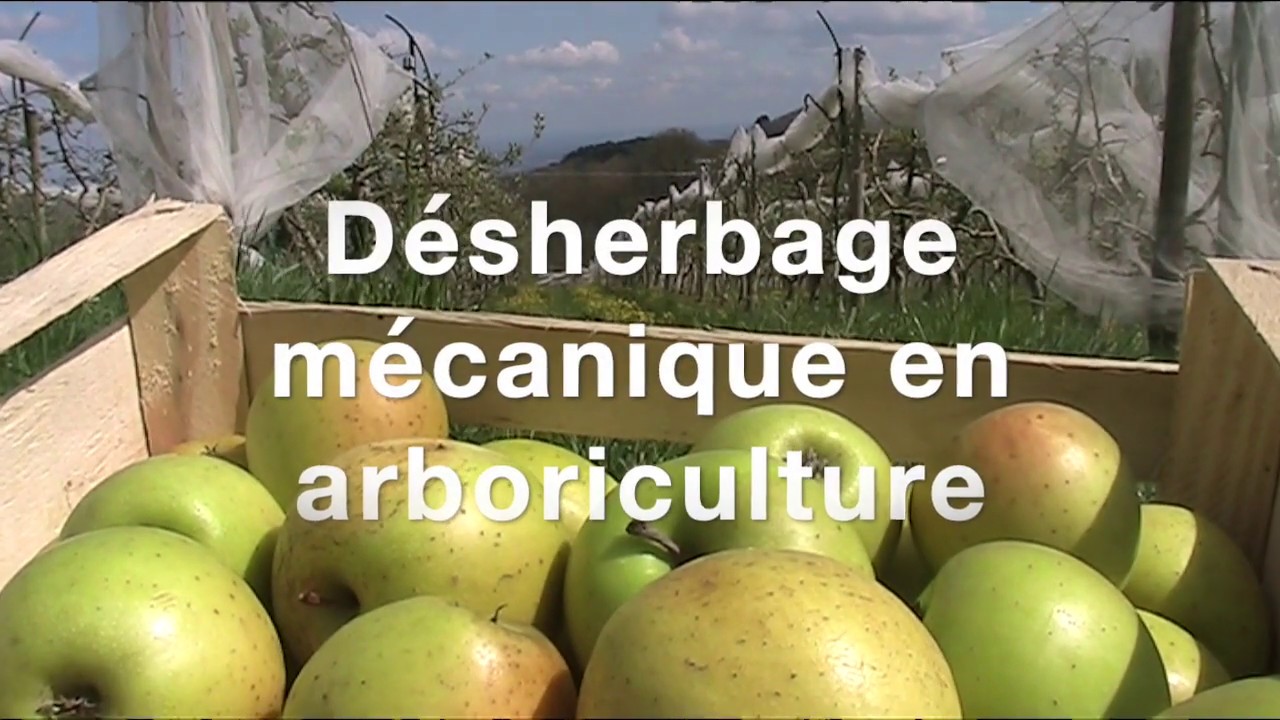 Gilbert Besson desherbage mécanique en verger
