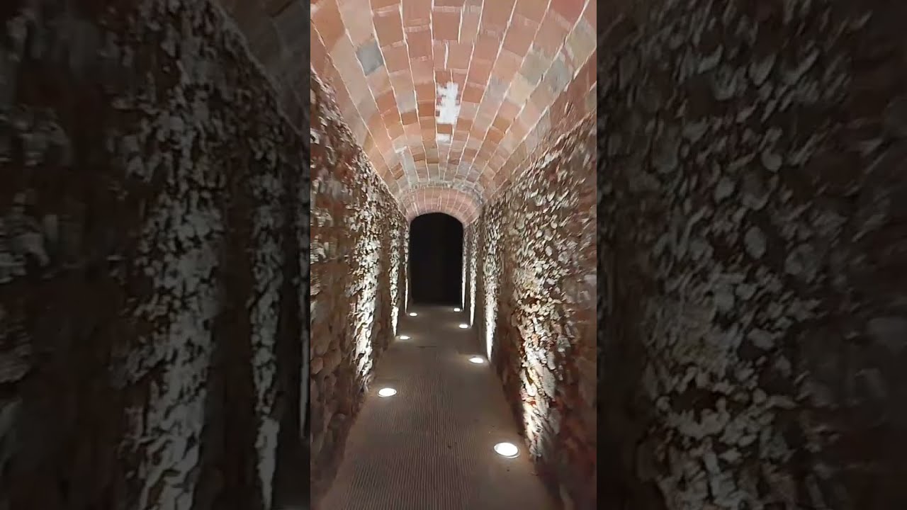 Davide and his Adventure in Tuscany!  is live!