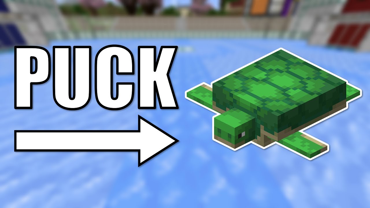 I made HOCKEY in Minecraft with TURTLES! | Redstone Minigame