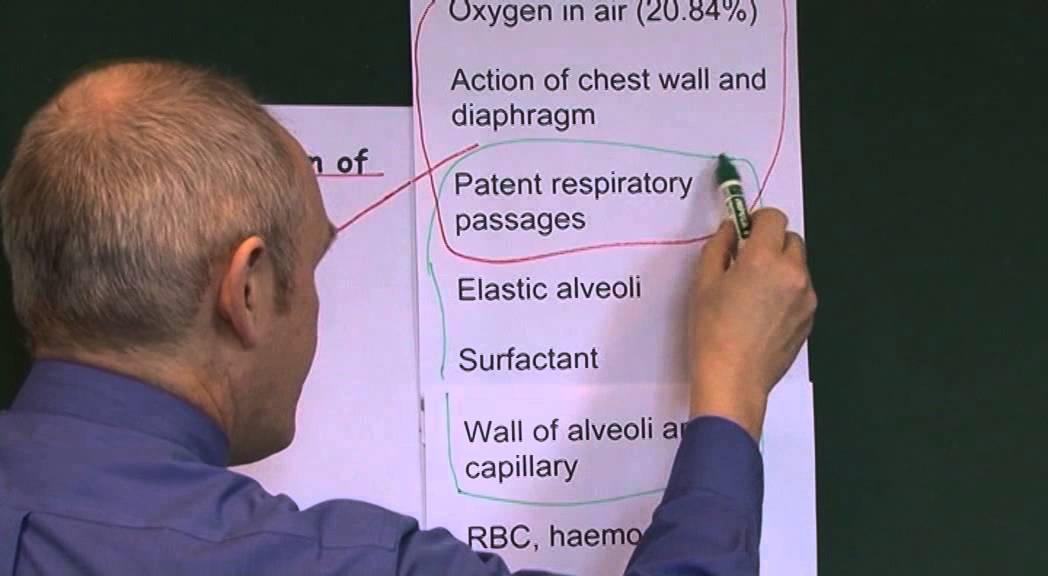 Hypoxia 8, Classification