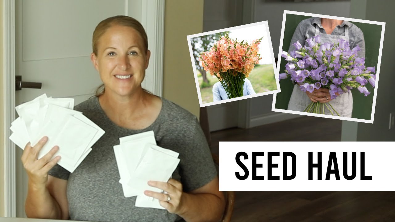 I'm Back!  My Latest Flower Seed Haul - Sunshine and Flora