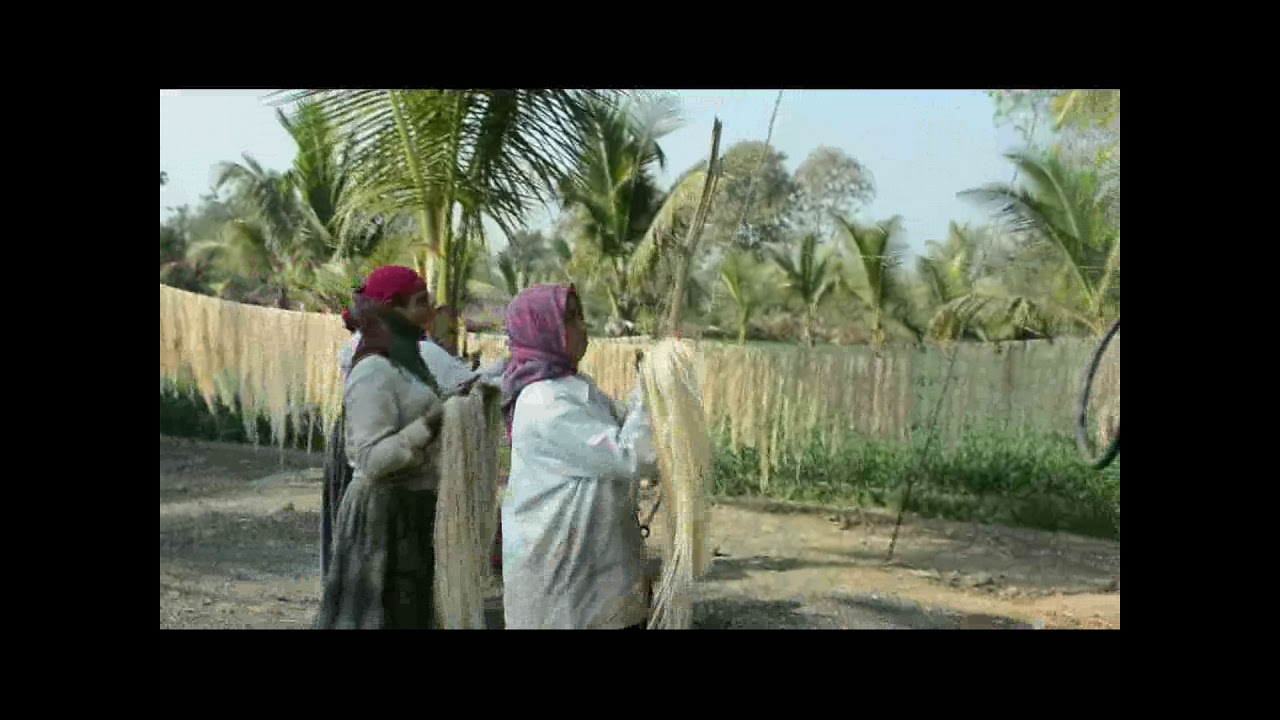 Value added products from Banana Pseudo-stem