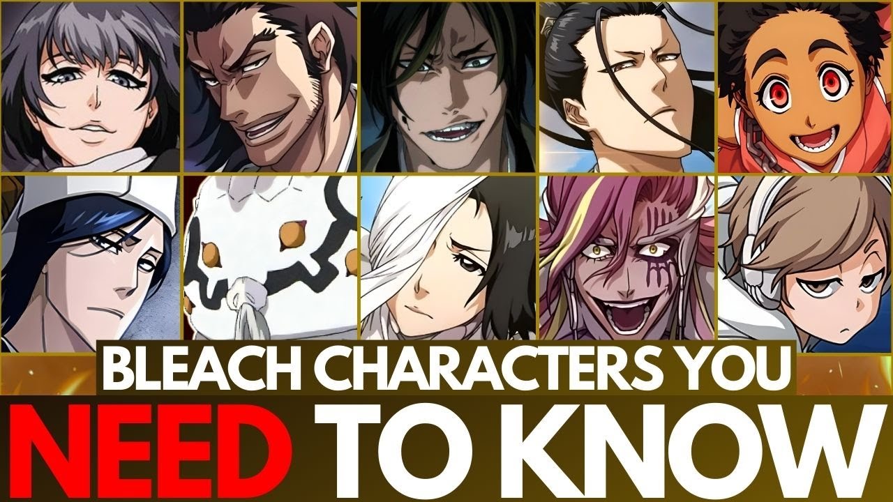 FORBIDDEN BANKAI, EVIL ZANPAKUTŌ + More! Every Major NOVEL Character in Bleach, EXPLAINED | CFYOW