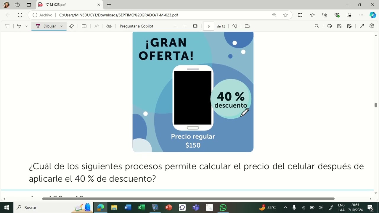 REPASO PRUEBA MIS LOGROS MATEMATICA 7°
