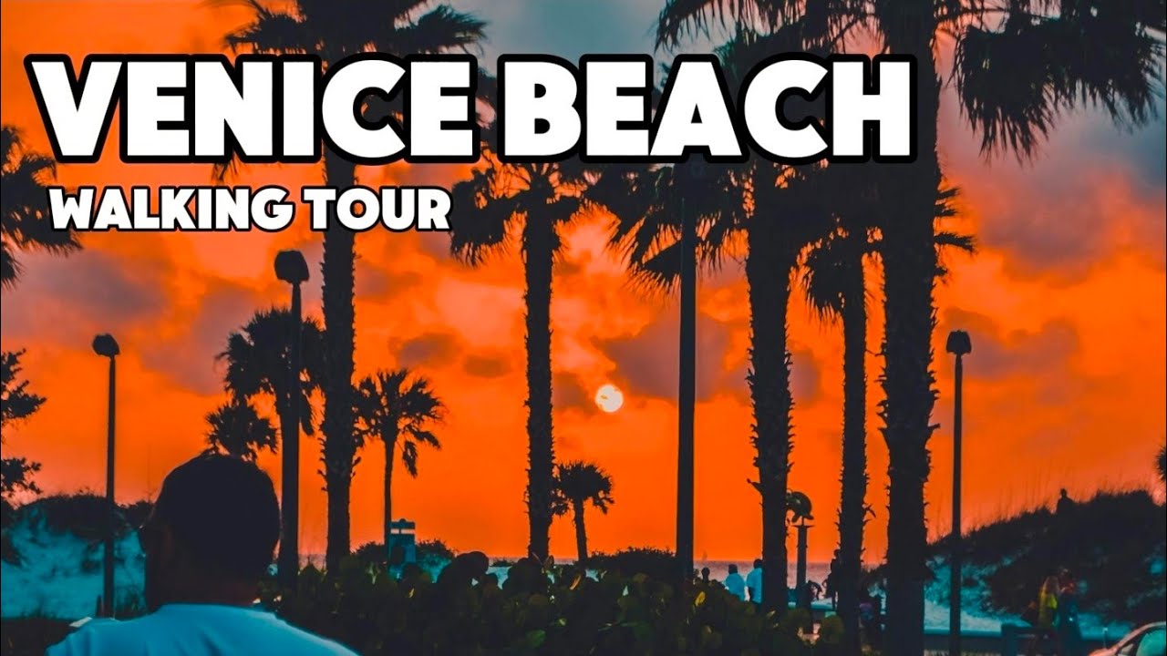 Незабываемое приключение на набережной Венис-Бич! 🌊 #VeniceVibes #ExploreLA