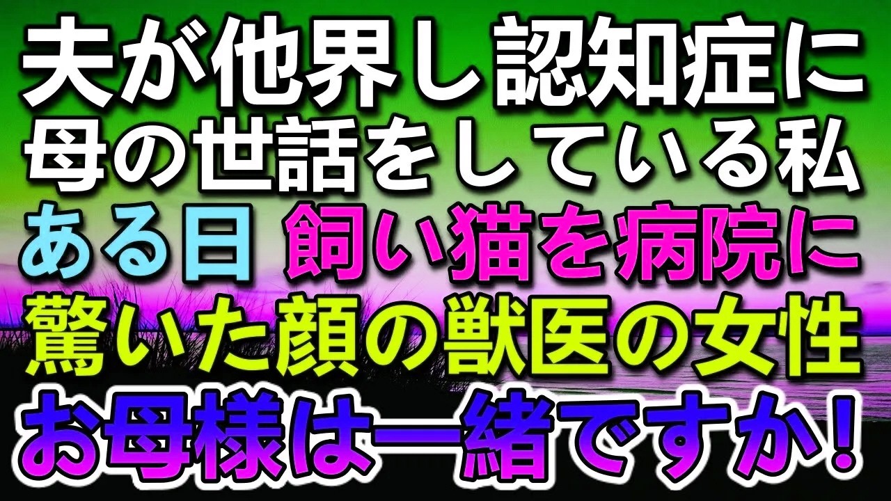 【感動する話】夫が他界し認知症になった母を保護猫カフェに連れて行き猫を飼うことに。