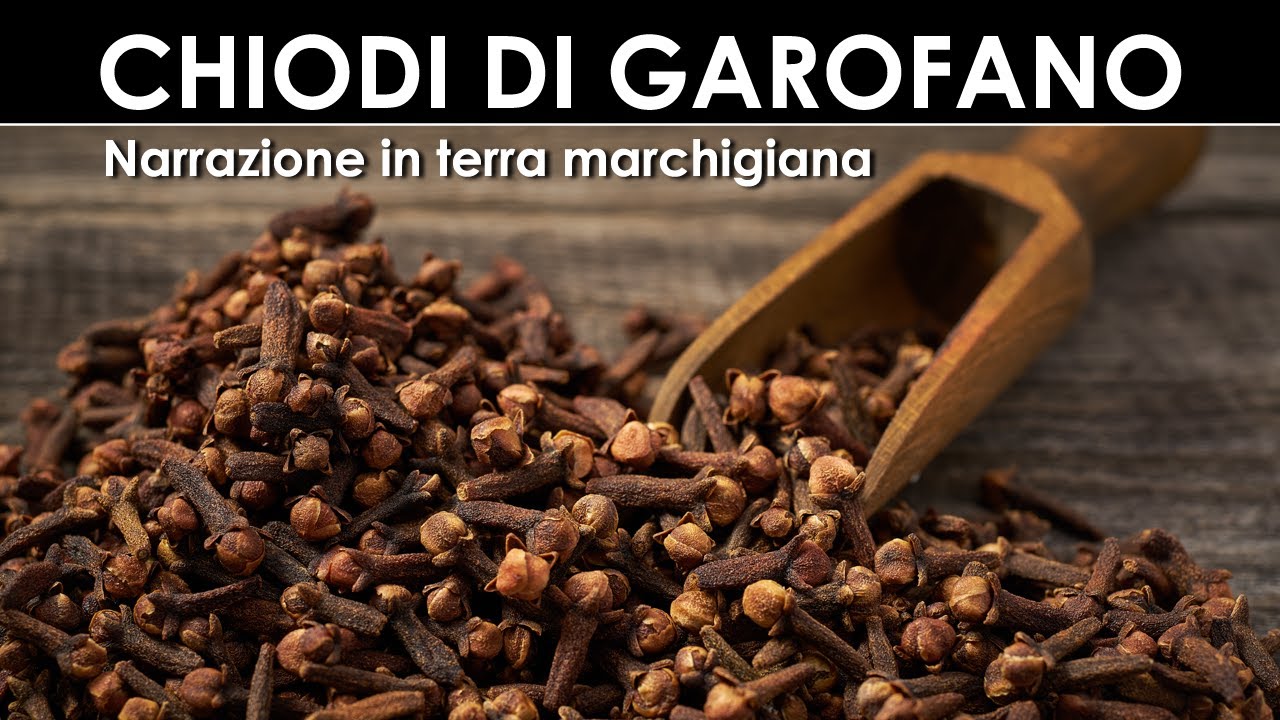 DIVINA FLORA - Chiodi di Garofano