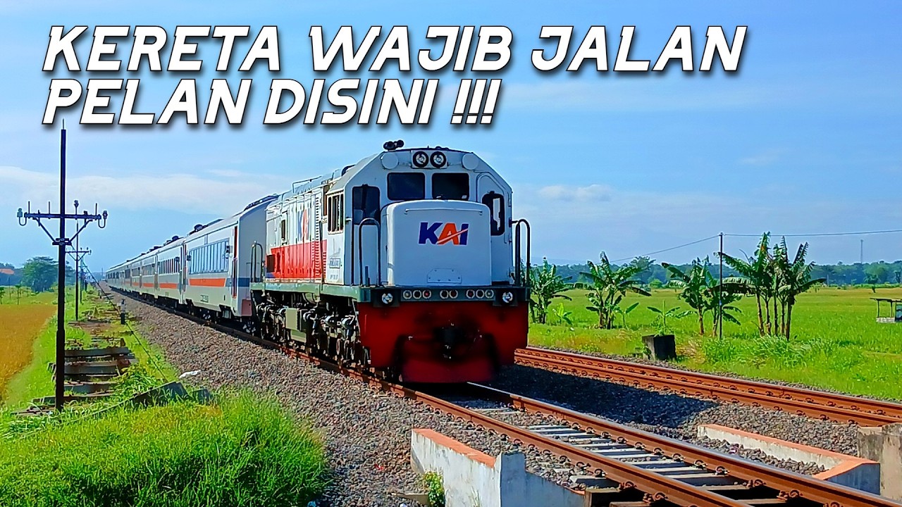 KERETANYA JALAN PELAN? KENAPA NIH? 🤔 | Hunting Di Desa Ngetrep Madiun