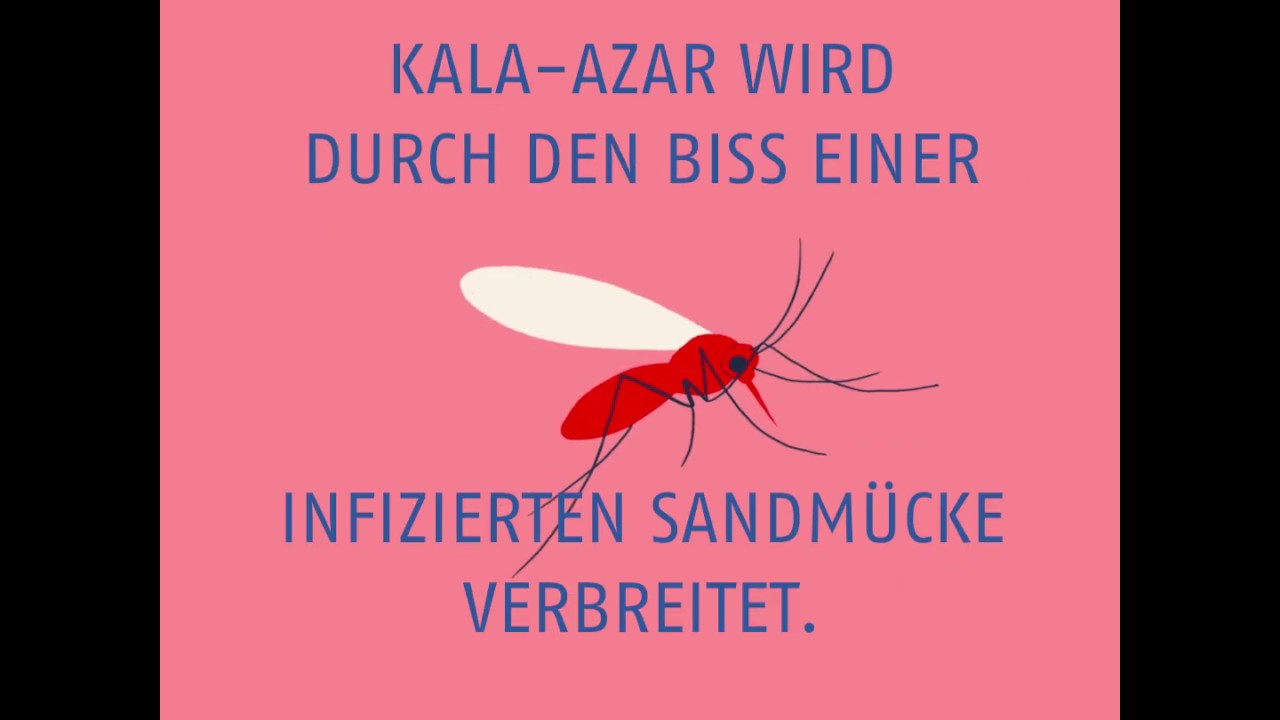 Doppelt infiziert: Kala-Azar und HIV | Ärzte ohne Grenzen
