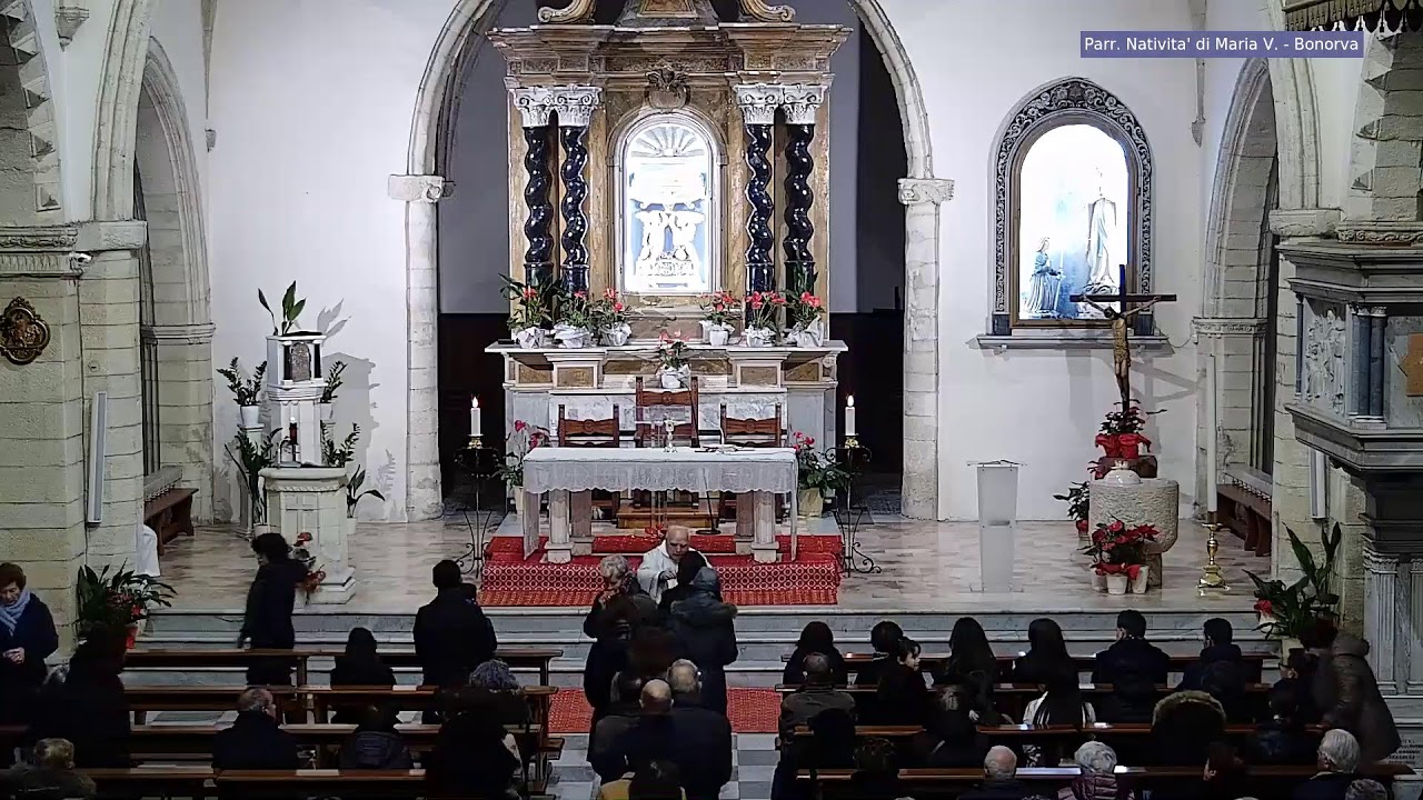 Celebrazione del 28-01-2026 17:19