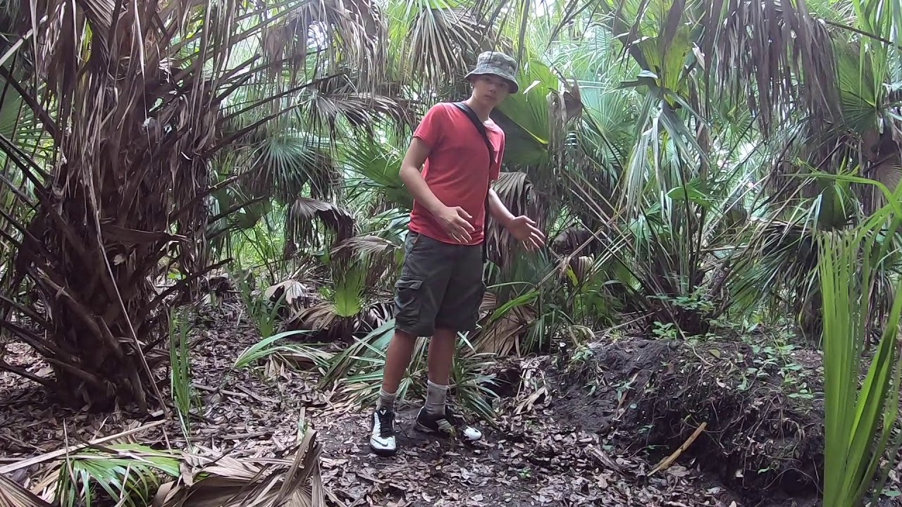 Hiking to an Ancient Florida Indian Shell Midden