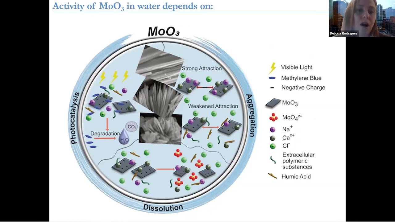 Water Chemistry & Oxidation State of Mo Affects Dissolution & Visible-light Photocatalytic Activity